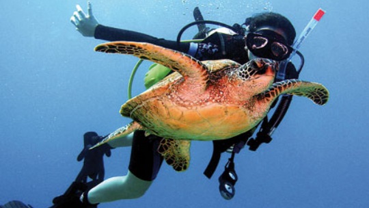 Scuba Diving Kyrenia